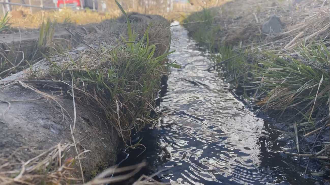 В одном из районов Петрозаводска, дорога может пострадать из-за родниковой воды [ВИДЕО]
