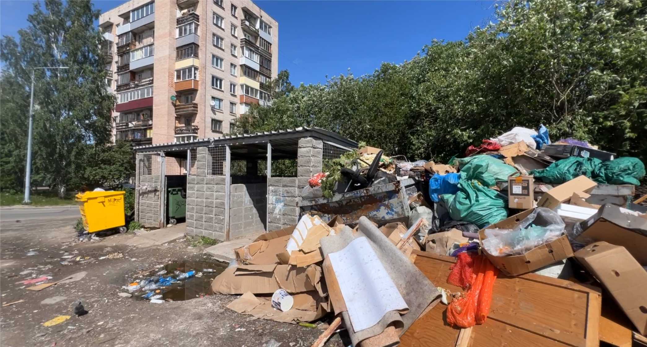 Петрозаводчане устраивают в социальных сетях соревнования на самую грязную мусорную площадку
