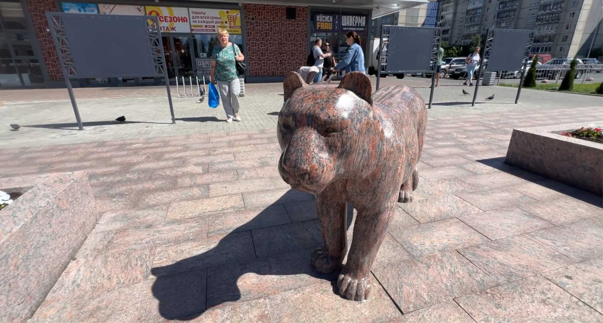 Тигр появился на площади в Петрозаводске