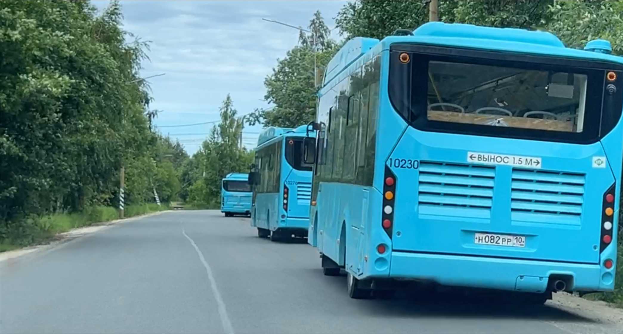 Голубые автобусы отправились обратно в Санкт-Петербург
