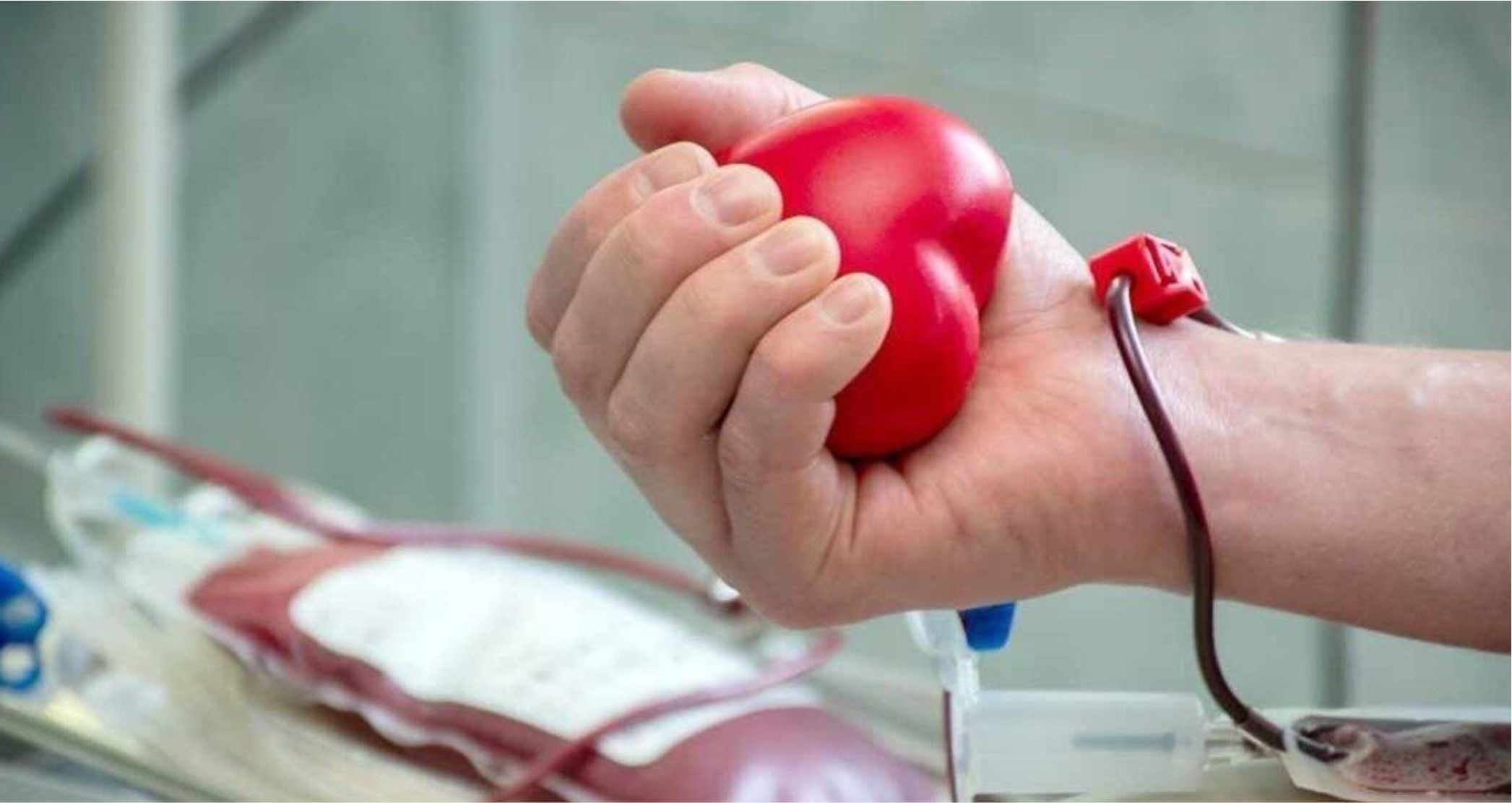 Станция переливания крови в Петрозаводске нуждается в донорах
