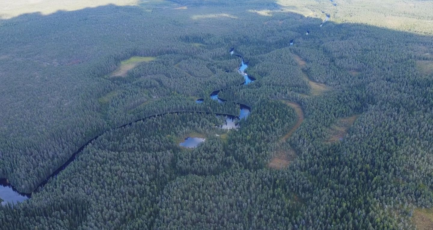 Два лесных пожара произошло накануне в Карелии.