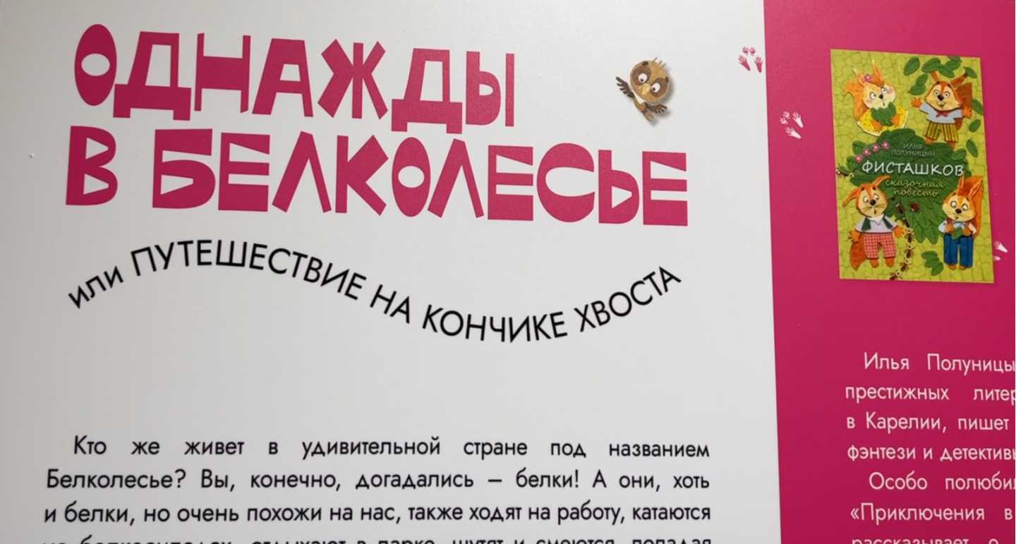 Выставка «Однажды в Белколесье или Путешествие на кончике хвоста». — Газета  ВСЁ.Онлайн - Новости и бесплатные объявления (Петрозаводск, Карелия)