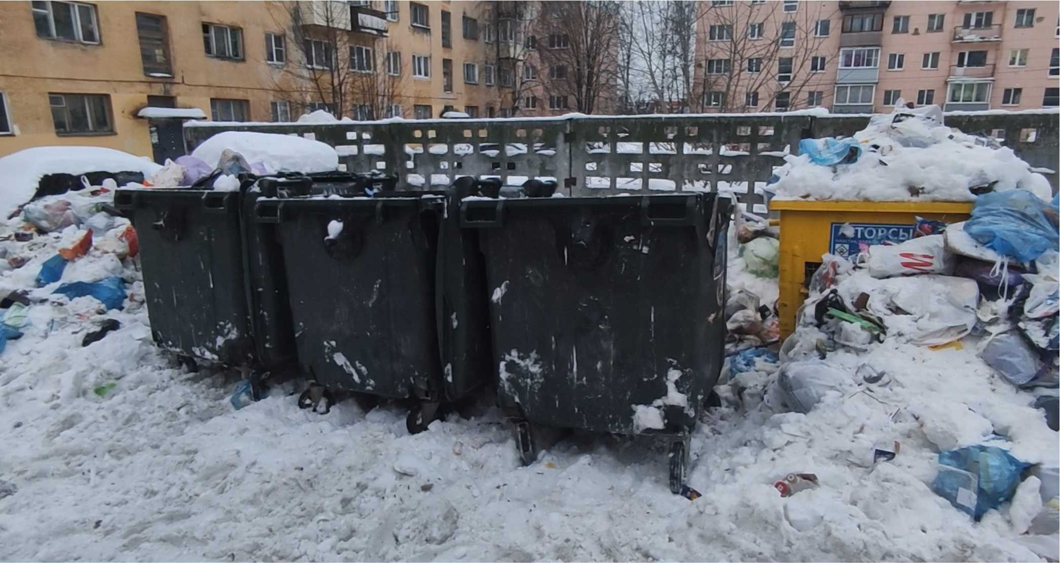 Продолжение истории с мусорной площадкой в центре Петрозаводска — Газета  ВСЁ.Онлайн - Новости и бесплатные объявления (Петрозаводск, Карелия)